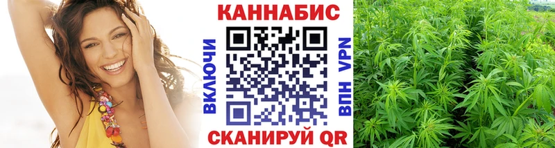 цены Елец Шишки марихуана Amnesia